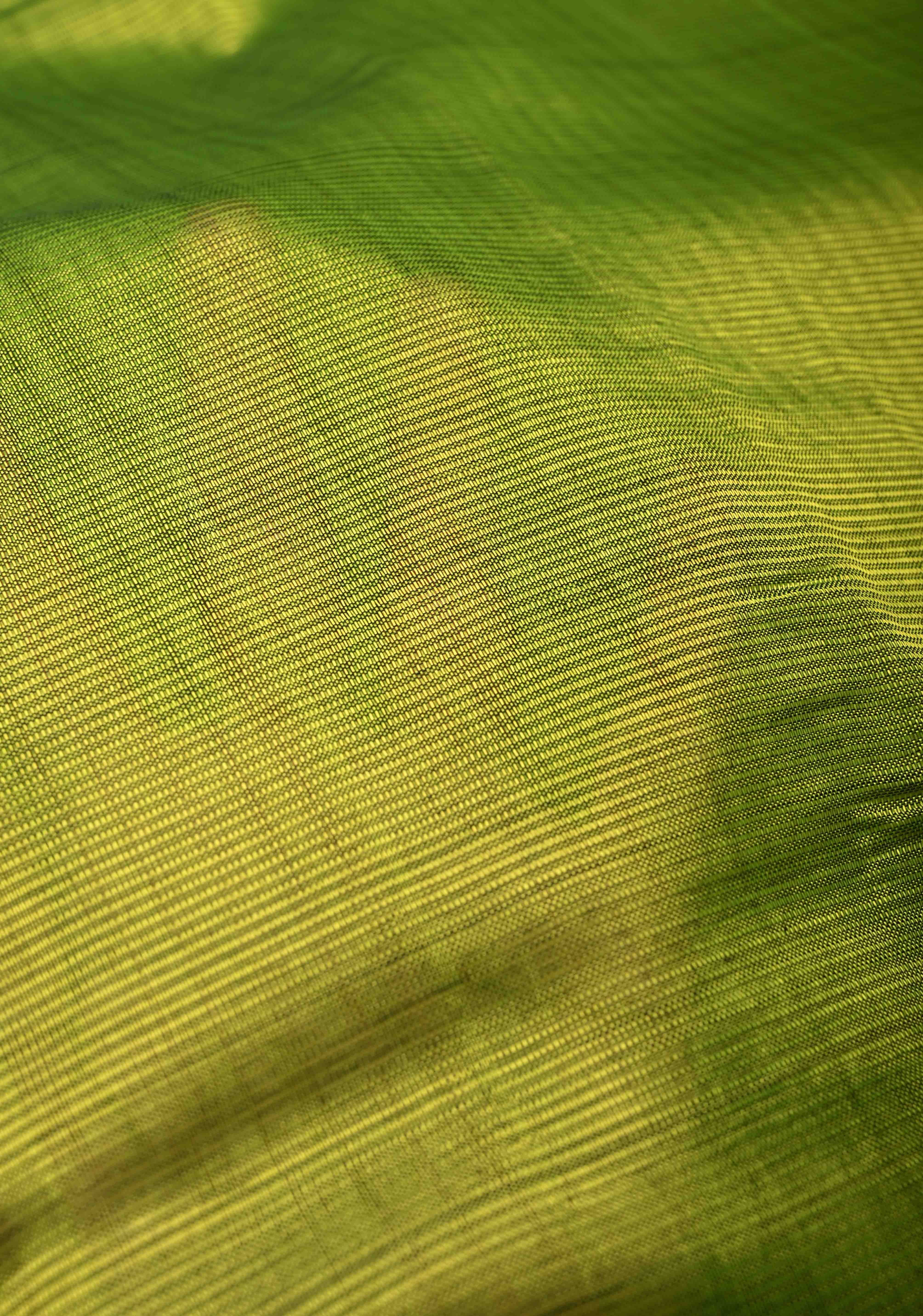 Moss Green Handwoven Mangalagiri Silk Cotton Saree with Temple Wide Zari Border | Shobitam