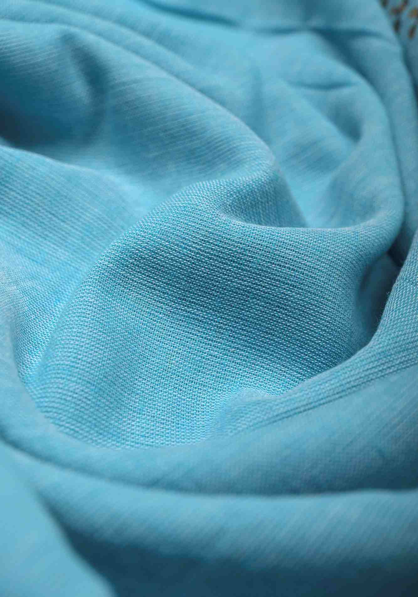 Aqua Blue Uppada Handloom Cotton Saree with Tree of life Buttas on Border and Pallu Ready To Wear Saree