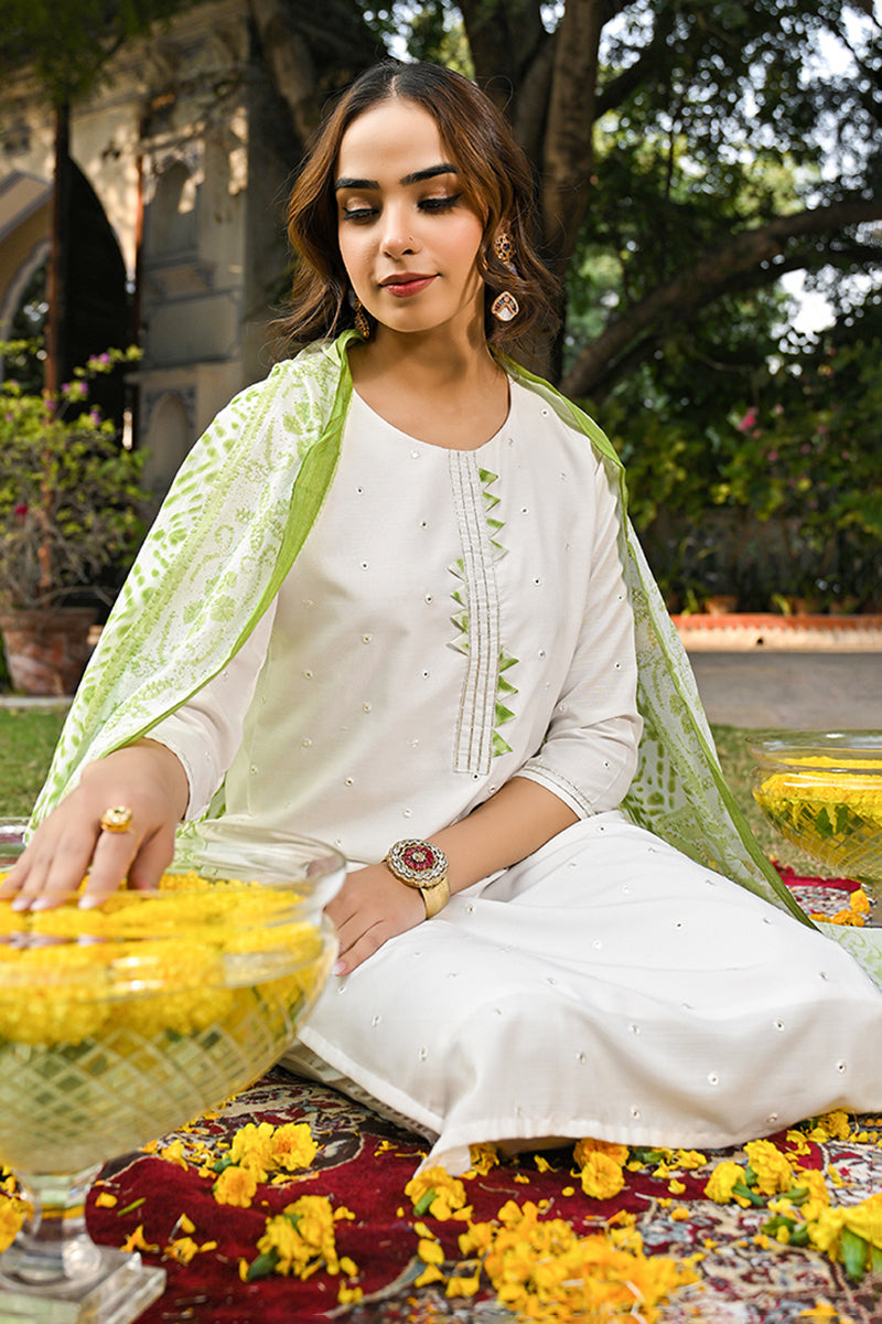 Green Rayon Blend Solid Embroidered Straight Suit Set | SHOBITAM