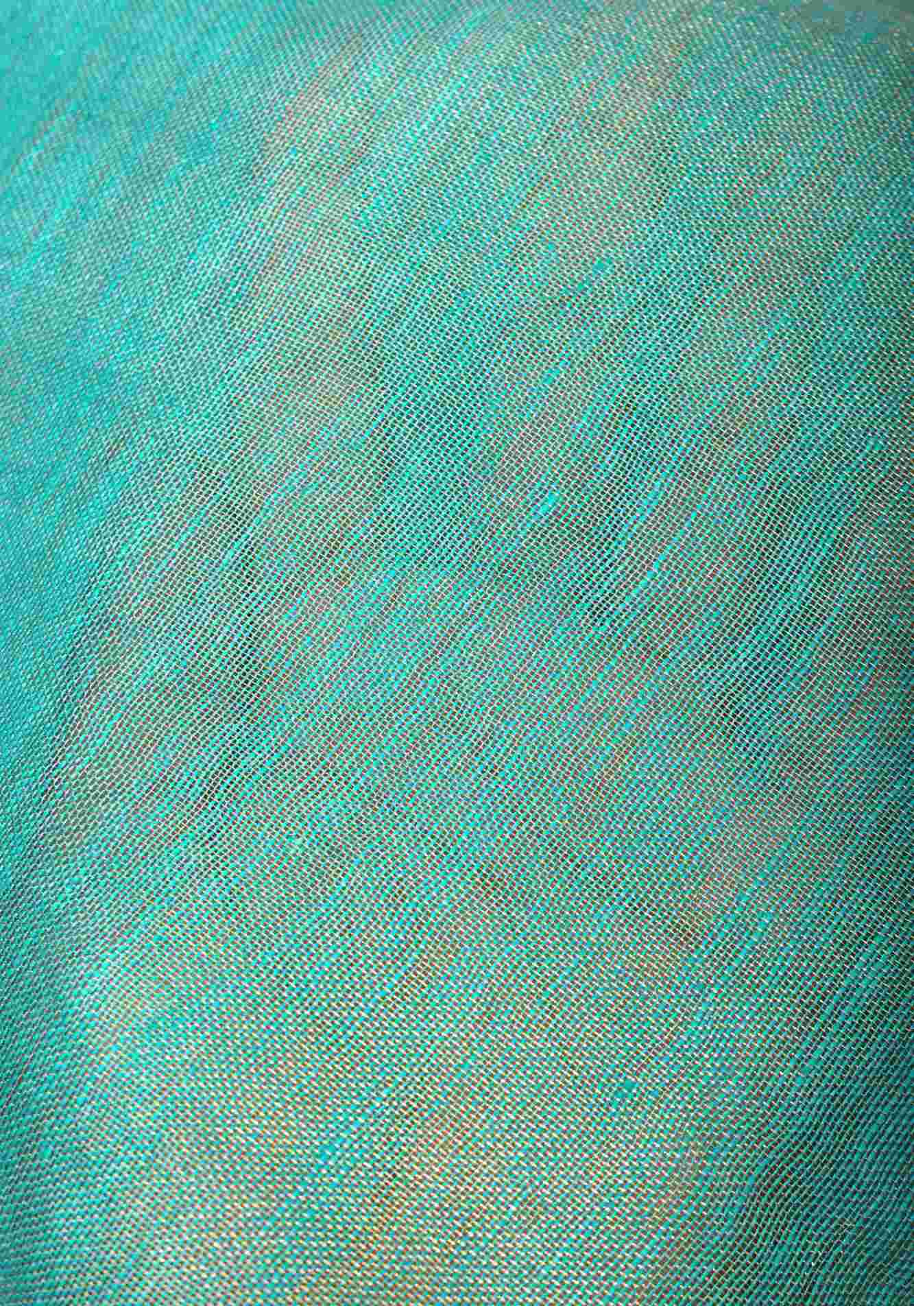 Sea Green Scalloped Tissue Linen Ready to Wear Saree and Golden border